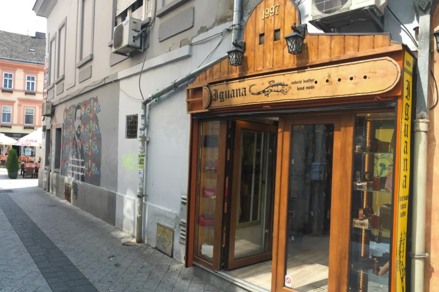 Prodavnica Laze Telečkog Novi Sad
